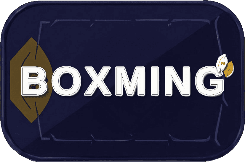 BOXMING